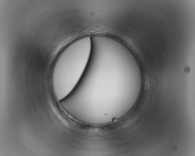 X0000110860634200906180946