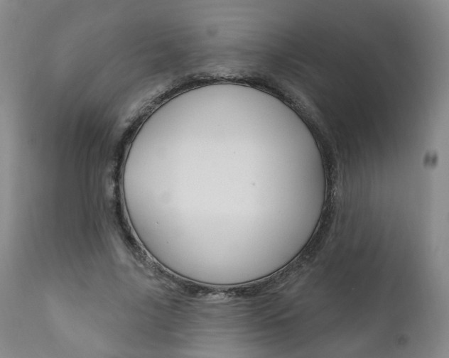 X0000110860635200906180946