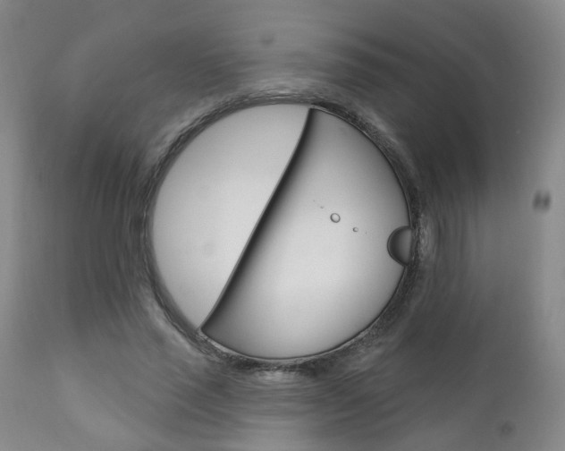 X0000110860637200906180946