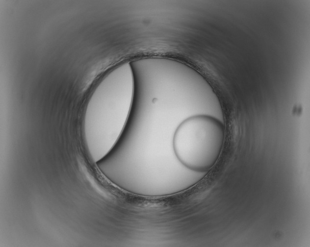 X0000110860638200906180946