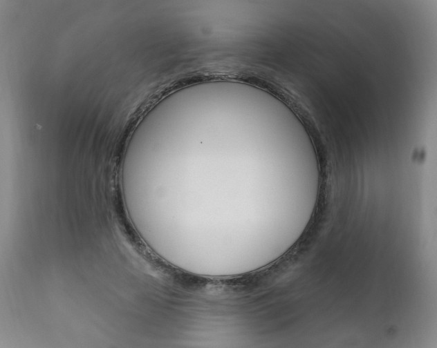 X0000110860641200906180946