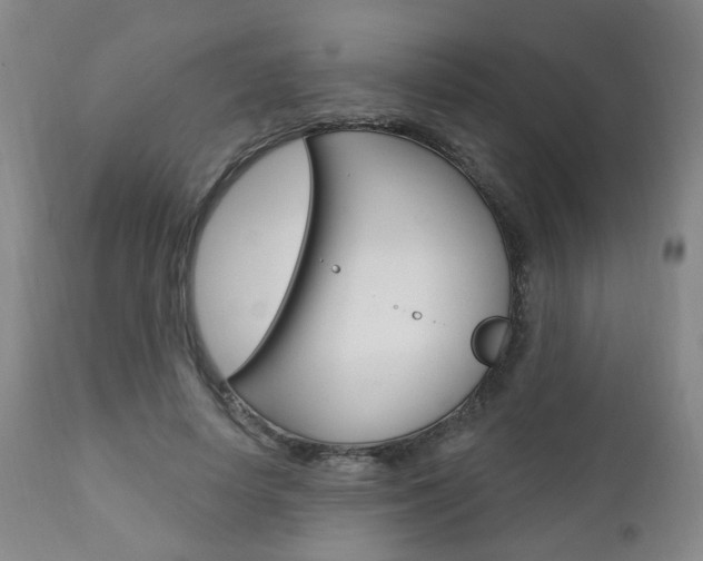 X0000110860642200906180946