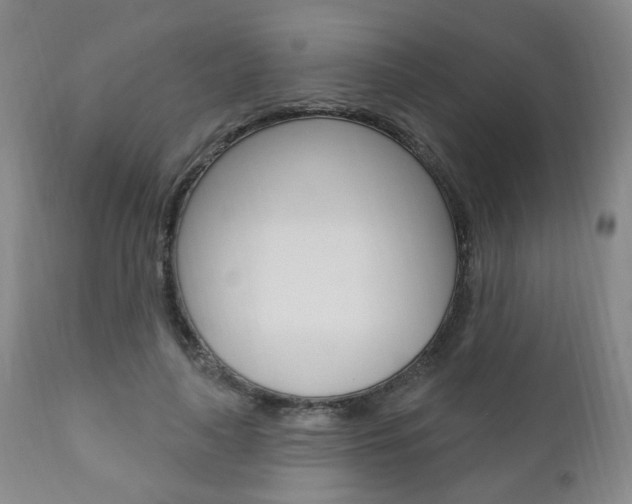 X0000110860643200906180946