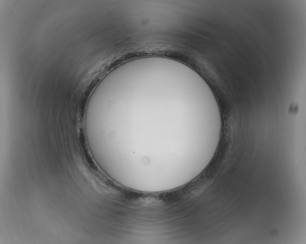 X0000110860644200906180946