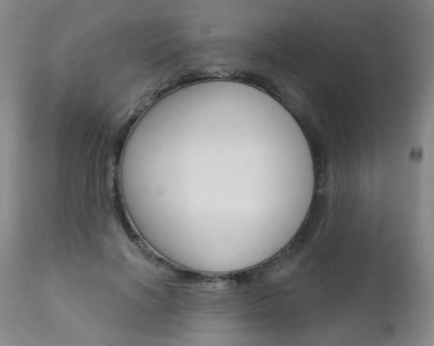 X0000110860646200906180946