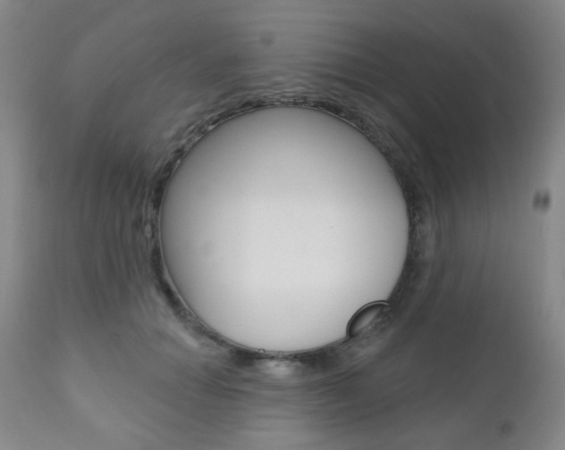 X0000110860654200906180946
