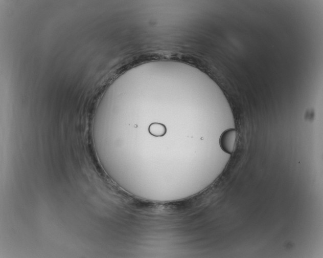 X0000110860656200906180946