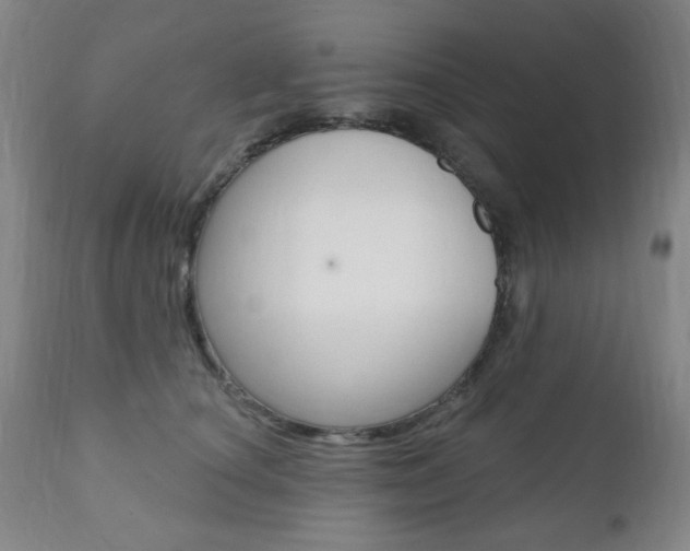 X0000110860660200906180946