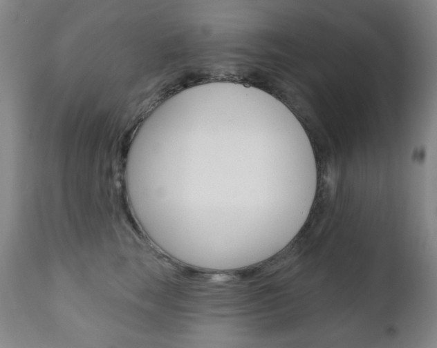 X0000110860663200906180947