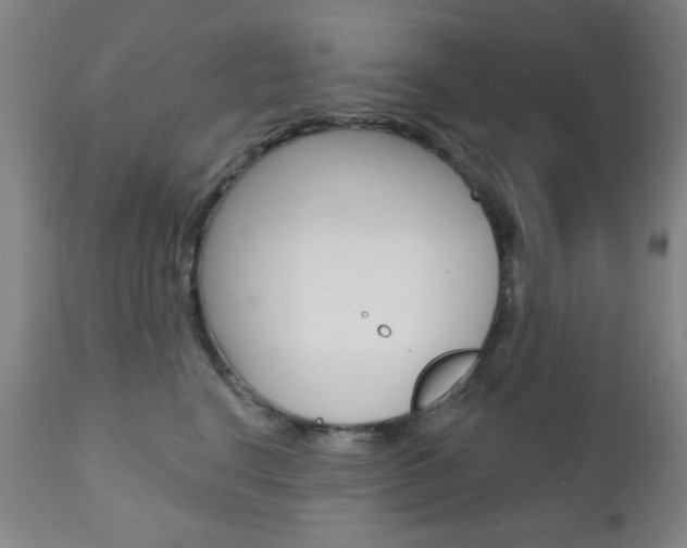 X0000110860664200906180947