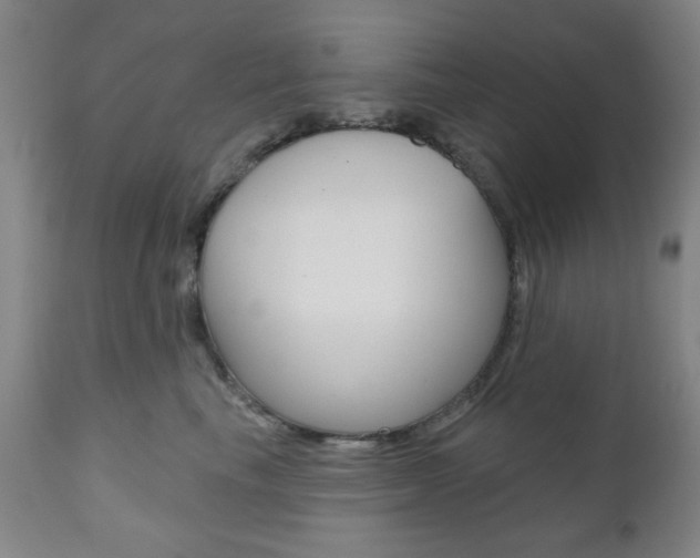 X0000110860665200906180947