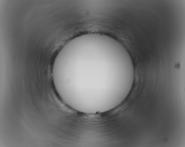 X0000110860670200906180947