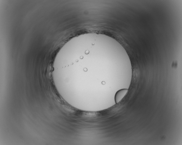 X0000110860671200906180947