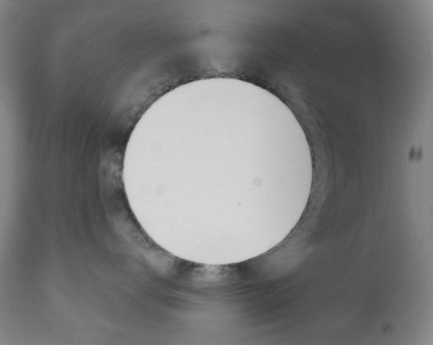 X0000110860672200906180947