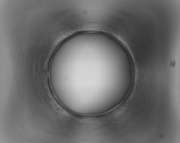 X0000110860673200906180946