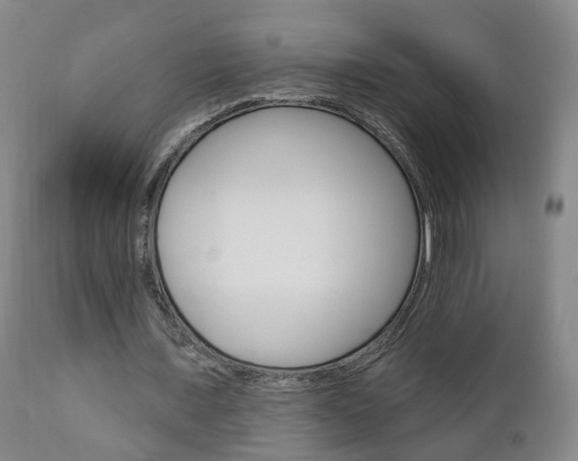 X0000110860675200906180946