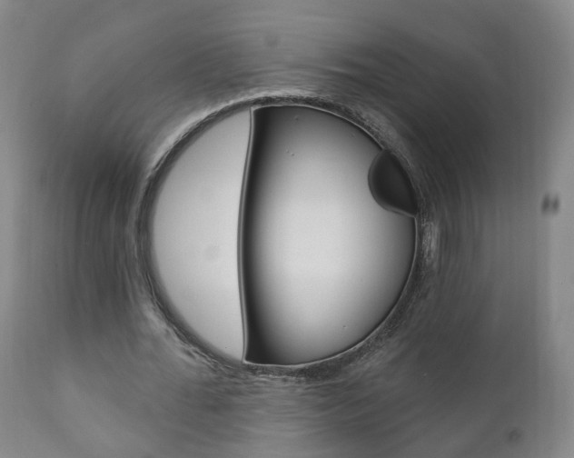 X0000110860676200906180946