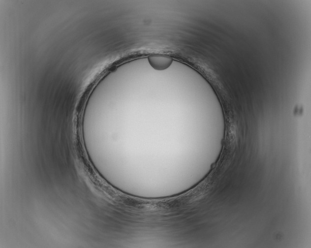 X0000110860678200906180946