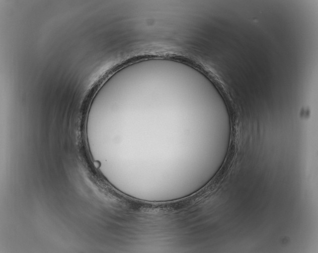 X0000110860679200906180946