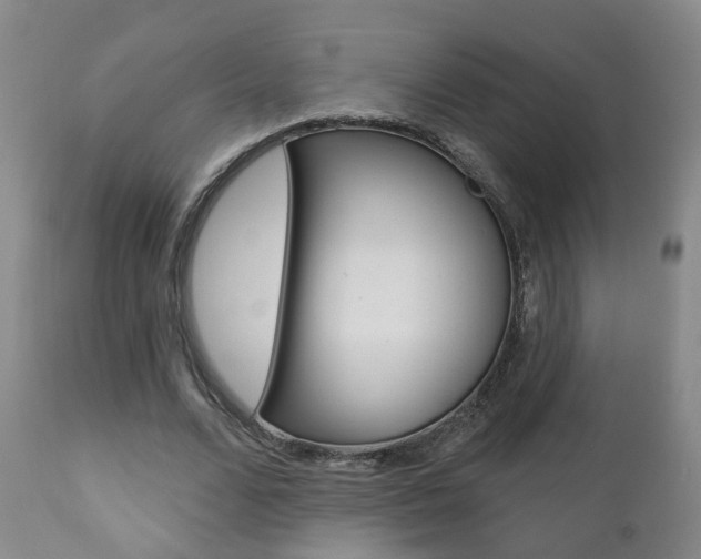 X0000110860680200906180946