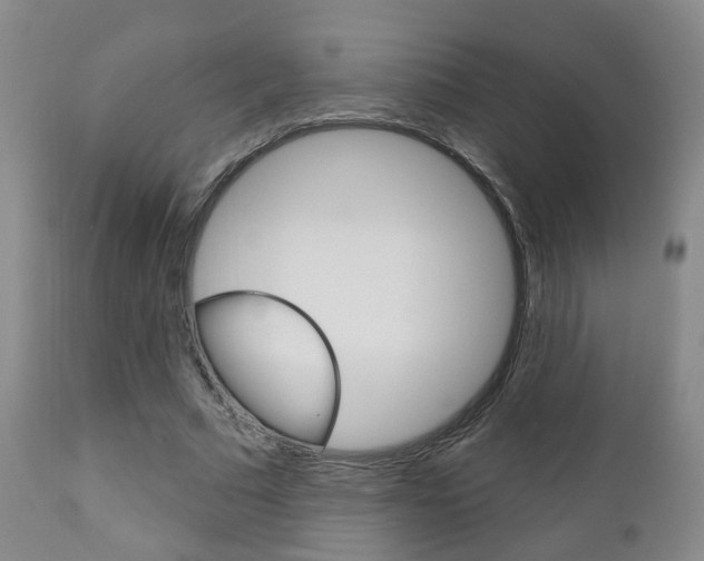 X0000110860681200906180946