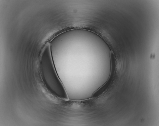 X0000110860684200906180946