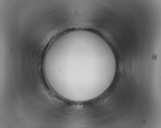 X0000110860687200906180946