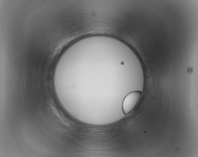 X0000110860688200906180946