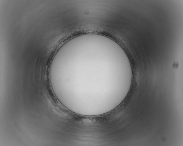 X0000110860690200906180946