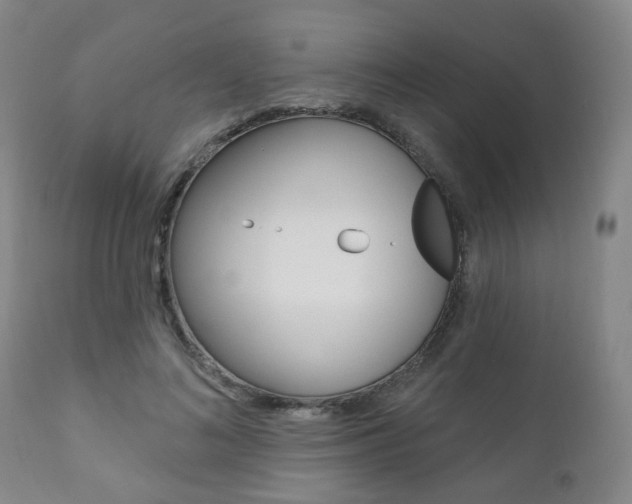 X0000110860692200906180946