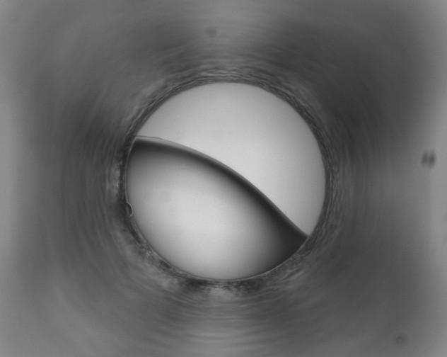 X0000110860697200906180945