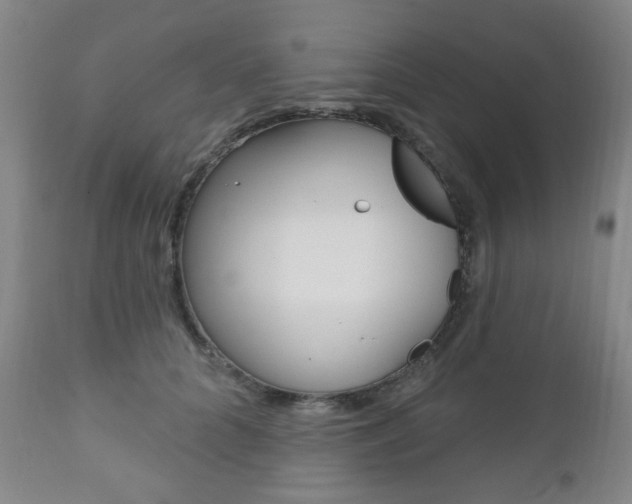 X0000110860704200906180945