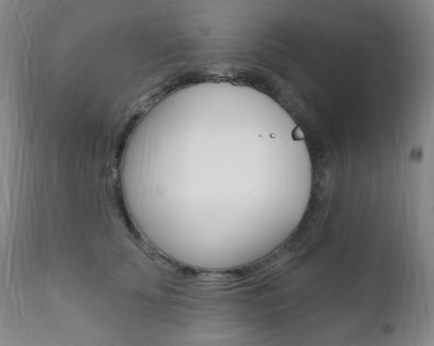 X0000110860707200906180945