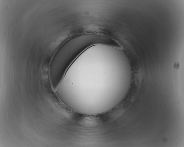 X0000110860708200906180945
