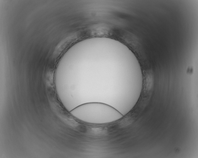 X0000110860709200906180945