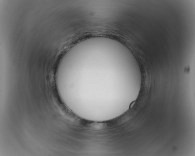 X0000110860711200906180945