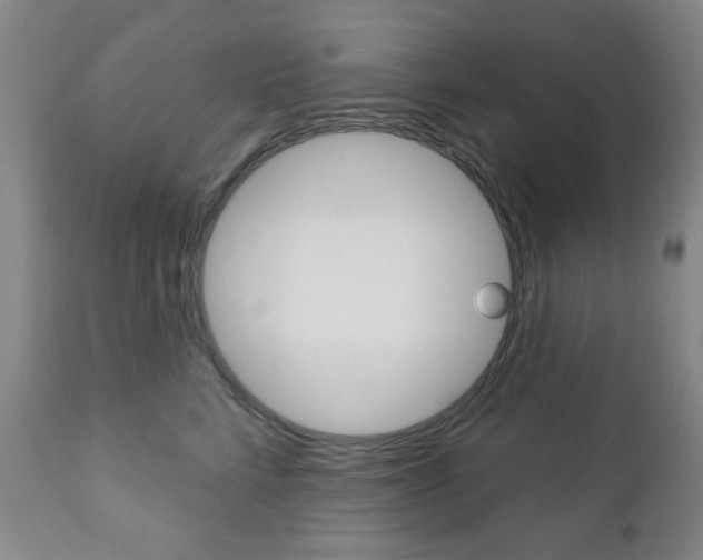 X0000110860712200906180945