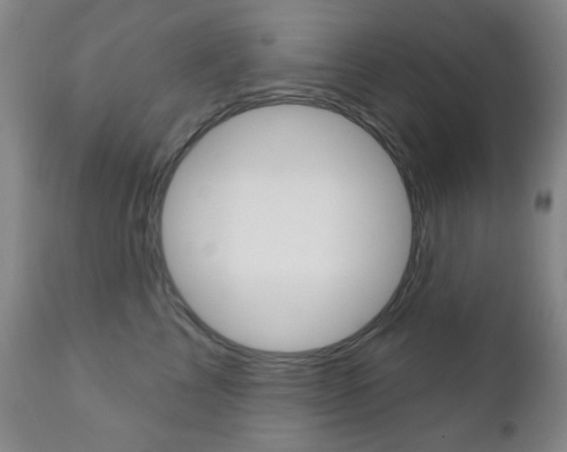 X0000110860713200906180945