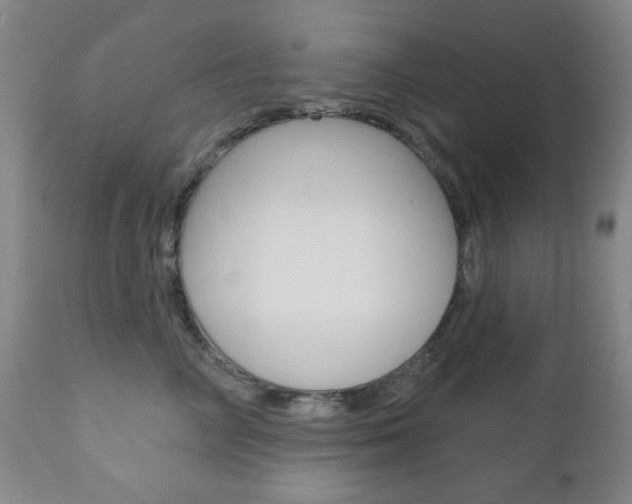 X0000110860714200906180945