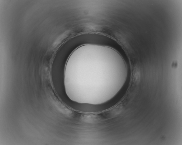 X0000110860716200906180945
