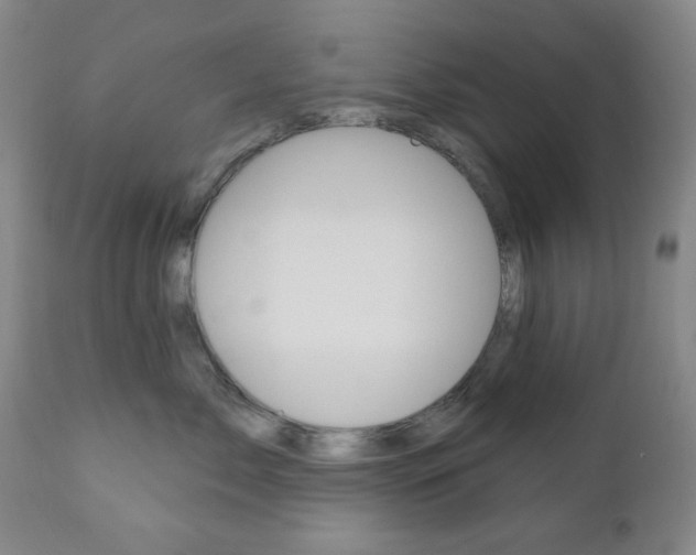X0000110860717200906180945