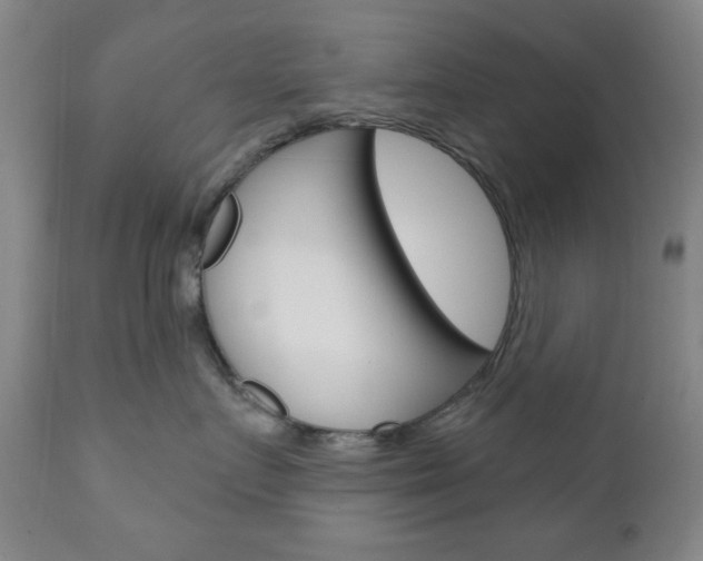 X0000110860719200906180945