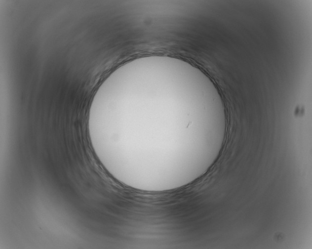 X0000110860720200906180945