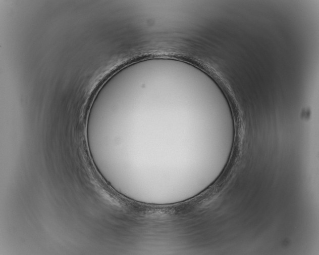 X0000110860721200906180945