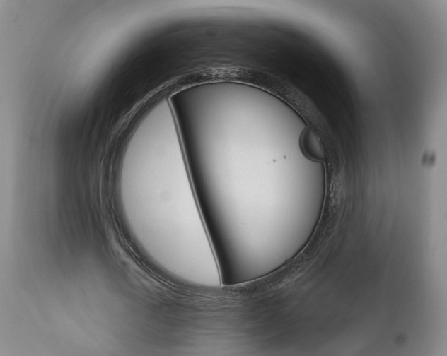 X0000110860722200906180945
