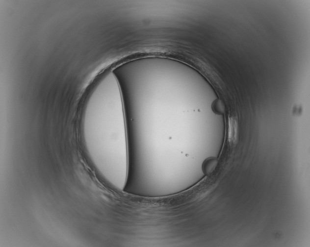 X0000110860723200906180945