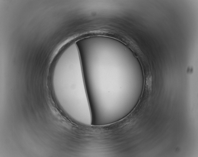 X0000110860724200906180945
