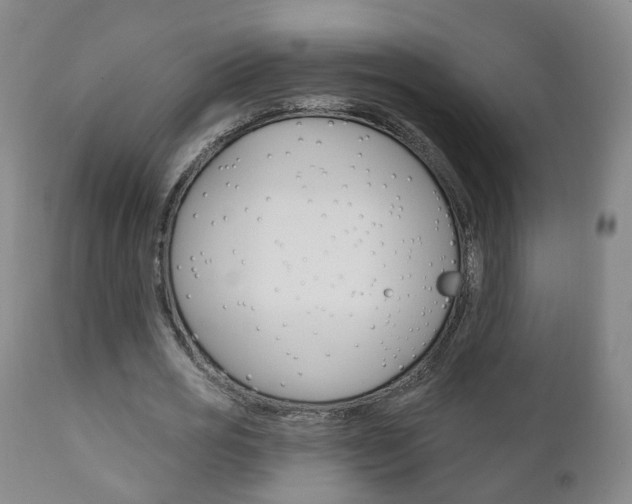 X0000110860725200906180945