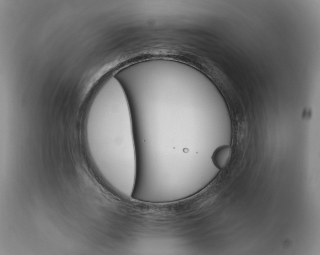 X0000110860727200906180945
