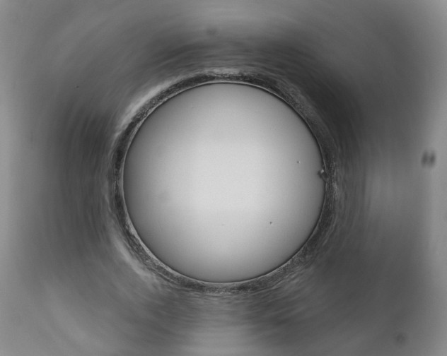 X0000110860728200906180945